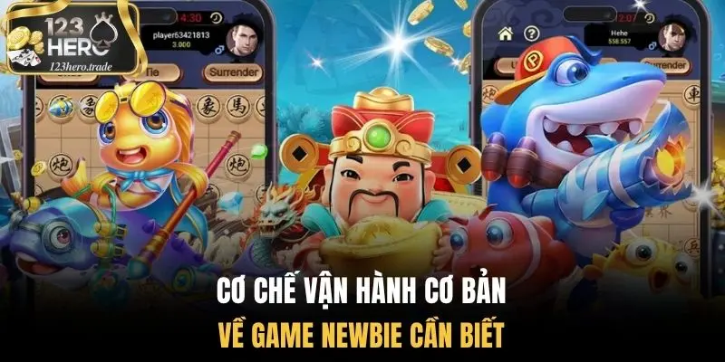 Cơ chế vận hành cơ bản về game newbie cần biết 