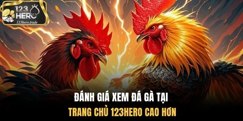 Đánh giá xem đá gà tại trang chủ 123Hero cao hơn