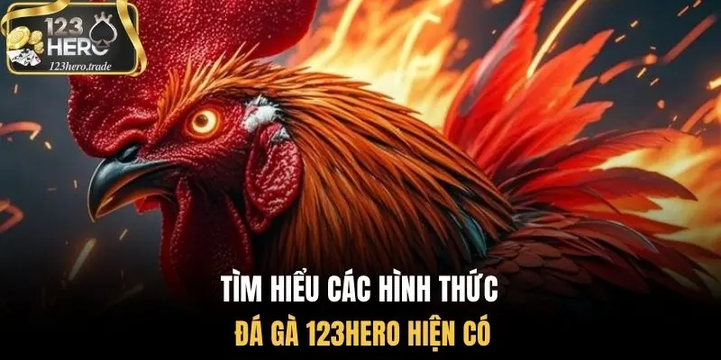 Tìm hiểu các hình thức đá gà 123Hero hiện có