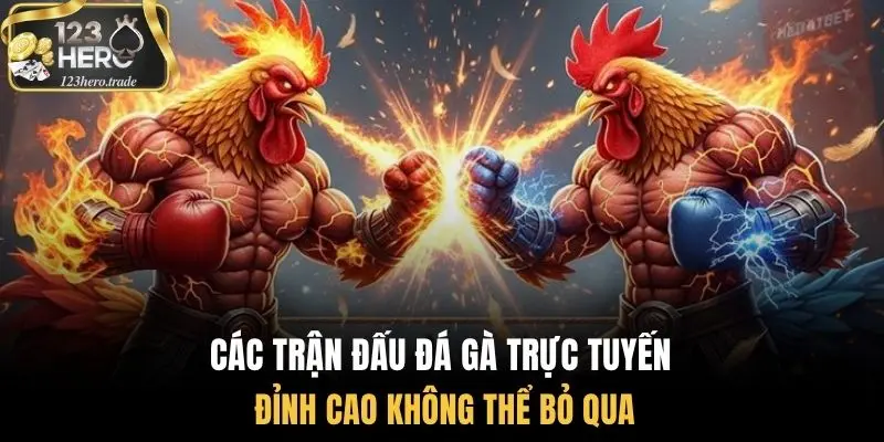 Các trận đấu đá gà trực tuyến đỉnh cao không thể bỏ qua